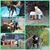 Marilyn Cottrell's profile image
