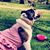 Kimberly Jackson's profile image