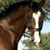 Sindy Thompson's profile image