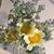Tisha Hudrick's profile image