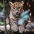 Debra Linboe's profile image