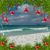 Donna Zimmerman-Keck's profile image