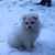 Leonore Chester's profile image