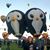 Alicia Jorgenson Booth's profile image