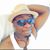 Chévaughn Campbell's profile image