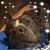 Bobby Cunningham's profile image