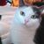 Gladys E. Del Pozo's profile image