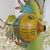 Mary Ann Jarvis's profile image