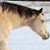 Bonnie Weber's profile image