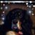 Deborah Hill Mitchell's profile image