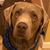 Steve Srolovitz's profile image