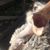 Kevin Hicks's profile image