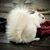 Tami Nichols Owens's profile image