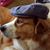 Kurt Amling's profile image