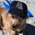 Todd Kuznitz's profile image