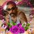 Carmen Archibeque's profile image