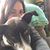 Lori A Azevedo-Alves's profile image