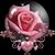 Sara Duncan Edwards's profile image