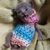 Andrea Miller's profile image