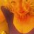Cindy Kartak's profile image