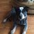 Elaine Czarnecki's profile image