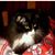 Karen Hagelberger Winney's profile image