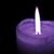 Wendy Wolf Vieth's profile image