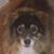 Sandi Cooper Goodwin's profile image