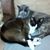 Gail Krempasky's profile image
