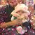 Lori Bruns-Fail's profile image