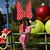 Lori Weiss Izmirly's profile image