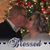 Nikki Kenemore Buchanan's profile image