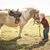 Terri Larkin Noack's profile image