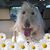 Jane Hudson Eaker's profile image
