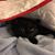 Stella Kennedy's profile image
