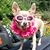 Thos Fien's profile image