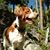 Leann Briggle Daugherty's profile image