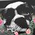 Janis Dobson-Macey's profile image