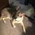 Margie Wilson's profile image