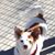 Susan Davies's profile image