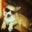 Ashton Kleemann's profile image