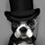 Richard Schmidt's profile image