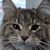 Pat Havas's profile image