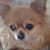 Franny Goffredo Dunbar's profile image