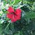 Elizabeth Ann Beaty's profile image