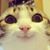 Laura Pike's profile image