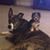Bill Bubba Harrell's profile image