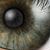 Tony Hiller's profile image
