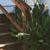Pamela F Hyler's profile image