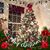 Ann Marie Barket's profile image